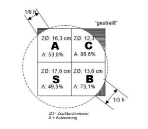 Schnittklassen Bauholz